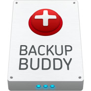 Wordpress Backup Buddy