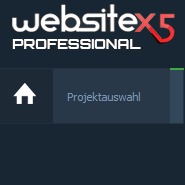 WebSite X5