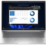 HP ProBook 445 G11