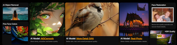 Aiarty Image Enhancer Modelle